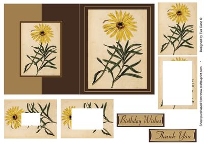 Calendula Flower Fold Back