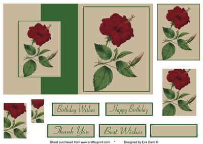 Hibiscus Flower Fold Back