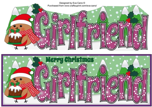Christmas Plump Robin with Christmas Pudding GIRLFRIEND large dl
