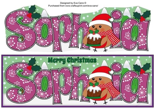 Christmas Plump Robin with Christmas Pudding SOPHIA large dl