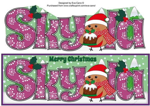 Christmas Plump Robin with Christmas Pudding SKYLA large dl