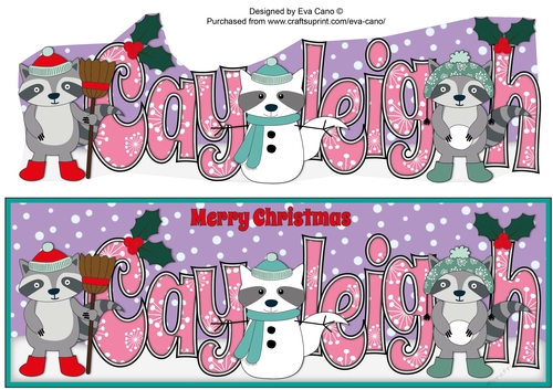 Christmas Rocky the Racoon with Snowracoon CAYLEIGH large dl