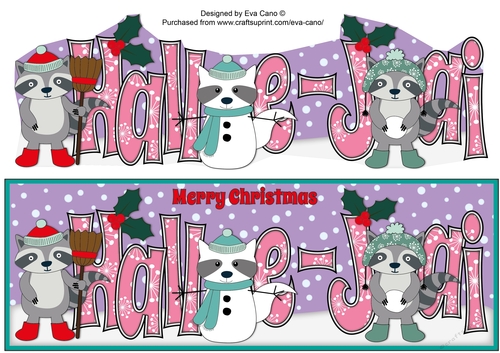 Christmas Rocky the Racoon with Snowracoon HALLE-JAI large dl