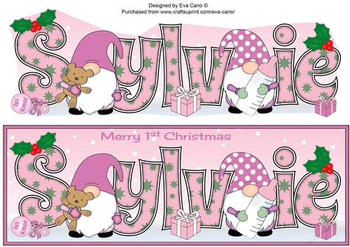 First Christmas Gnomes with baby bottle SYLVIE large dl