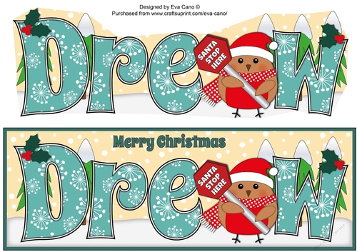 Christmas Plump Robin with Santa Sign DREW large dl