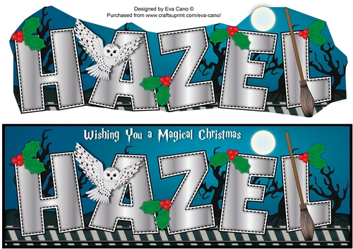 Christmas Wizard & Magic HAZEL large dl 
