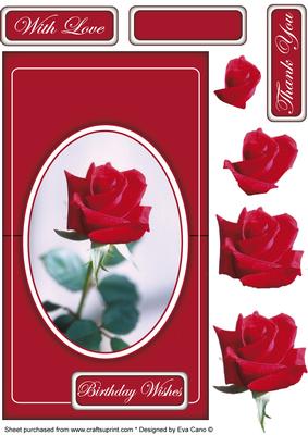 Red Rose Over the Edge