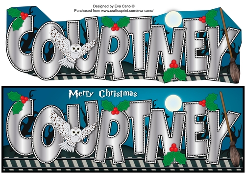 Christmas Wizard & Magic COURTNEY large dl
