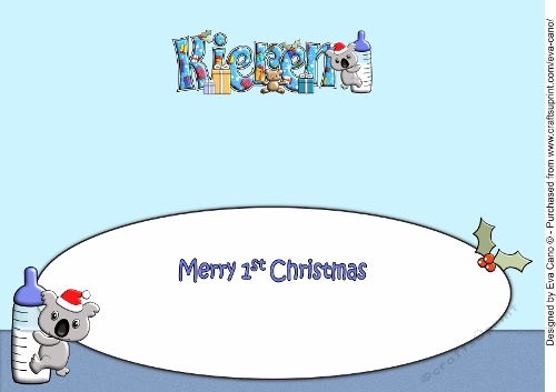First Christmas Baby Koala and bottle KIEREN large dl insert