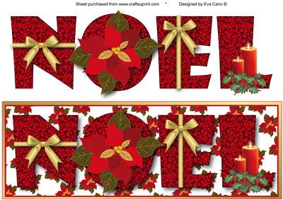 Noel with Poinsettias Large Dl Card (white)