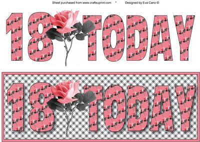 18 Today with Pink Rose Large Dl 2