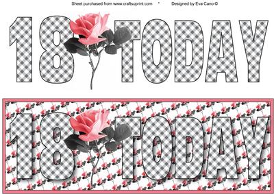 18 Today with Pink Rose Large Dl