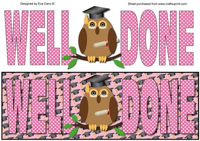 Graduation Owl Large Dl (pink)