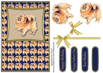 Pomeranian (blue)
