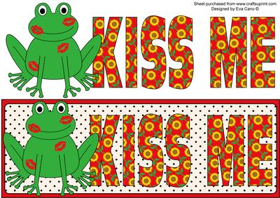 Kiss the Frog Large Dl