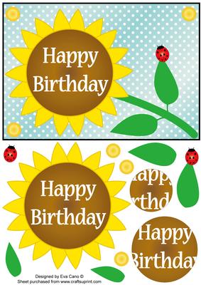 Flower and Ladybird for Birthdays