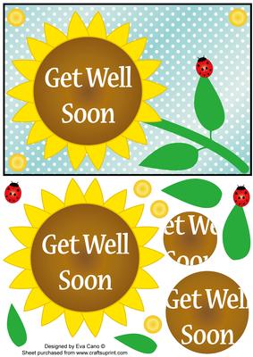 Flower and Ladybird Get Well Soon