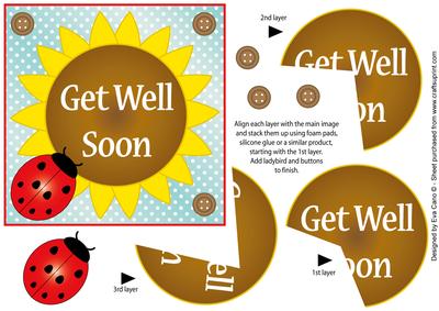 Flower and Ladybird Get Well Topper