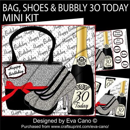 Bag Shoes and Bubbly 30 Today Mini Kit