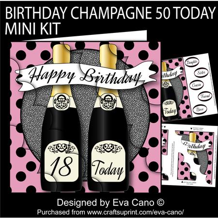 Birthday Champagne 18 Today 8x8 Mini Kit