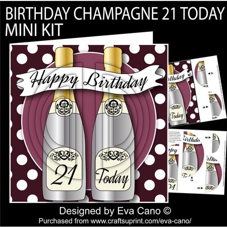 Birthday Champagne 21 Today Mini Kit