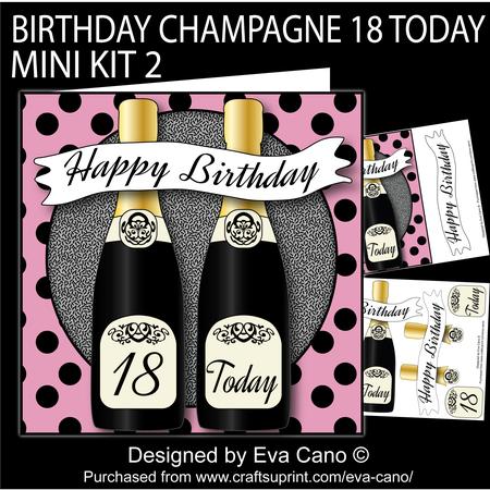 Birthday Champagne 18 Today Mini Kit 2