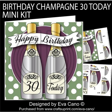 Birthday Champagne 30 Today Mini Kit