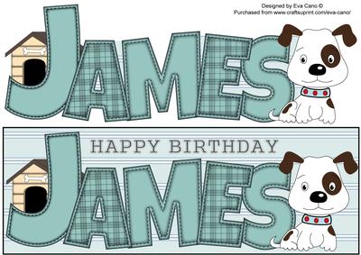 Patch the Dog James Large Dl