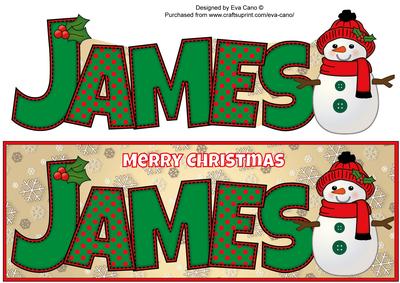 Cute Snowman James Large Dl