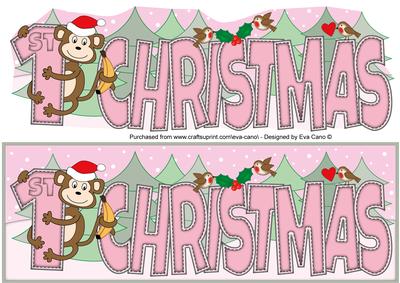 Monkey 1st Christmas Large Dl 2
