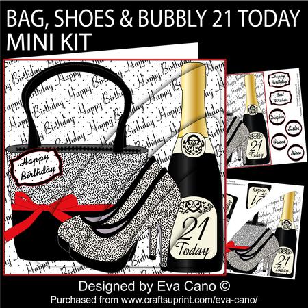 Bag, Shoes and Bubbly 21 Today Mini Kit