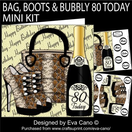 Bag, Shoes and Bubbly 80 Today Mini Kit