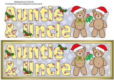 Christmas Teddies Auntie & Uncle Large Dl