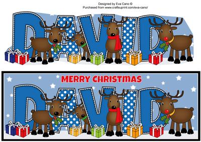 Rudolf and Friends David Large Dl