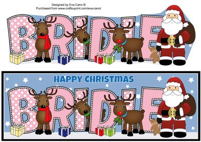 Santa and His Reindeers Bridie Large Dl