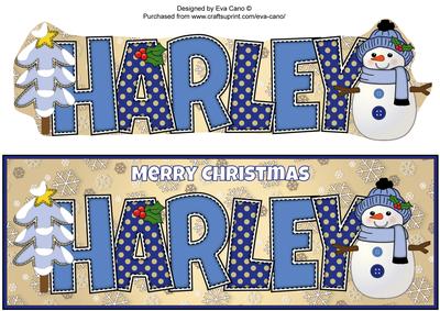 Cute Snowman Harley Large Dl