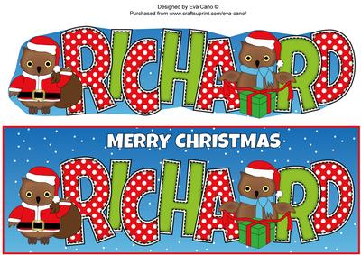 Christmas Owls Richard Large Dl