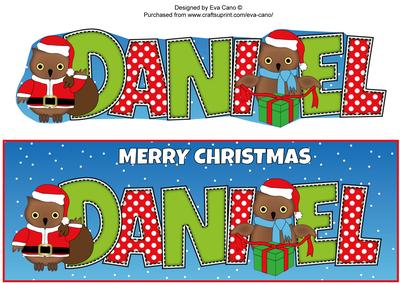 Christmas Owls Daniel Large Dl