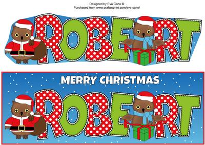 Christmas Owls Robert Large Dl