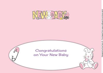 Insert for Cute Bunny and Pink Pram New Baby Large Dl