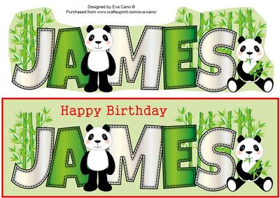 Cute Pandas James Large Dl