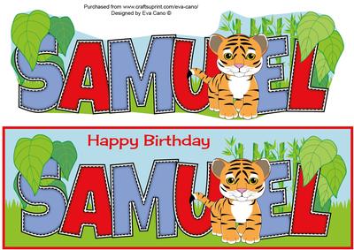 Cute Tiger Samuel Large Dl