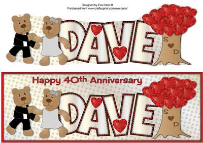 Ballroom Dancing Teddies Dave 40th Anniversary