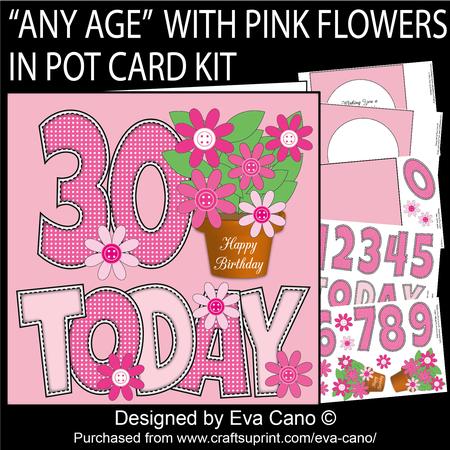 'any Age' with Pink Flowers in Pot Card Kit