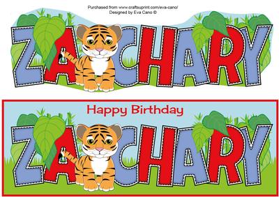 Cute Tiger Zachary Large Dl