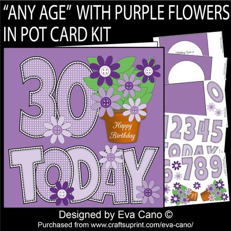 'any Age' with Purple Flowers in Pot Card Kit