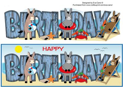 Beach Donkeys Birthday Large Dl