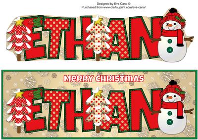 Cute Snowman Ethan Large Dl