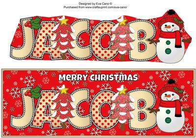Cute Snowman Jacob Large Dl