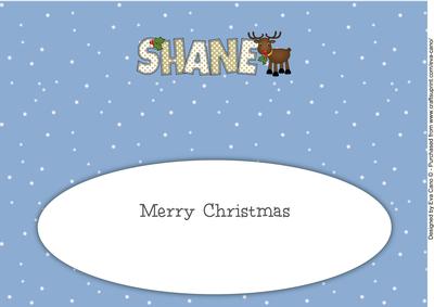 Rudolf the Red Nose Reindeer Shane Large Dl Insert